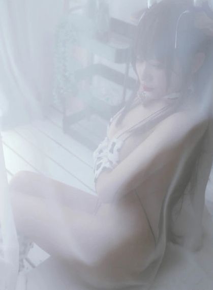 粤语屋最新电视剧免费观看